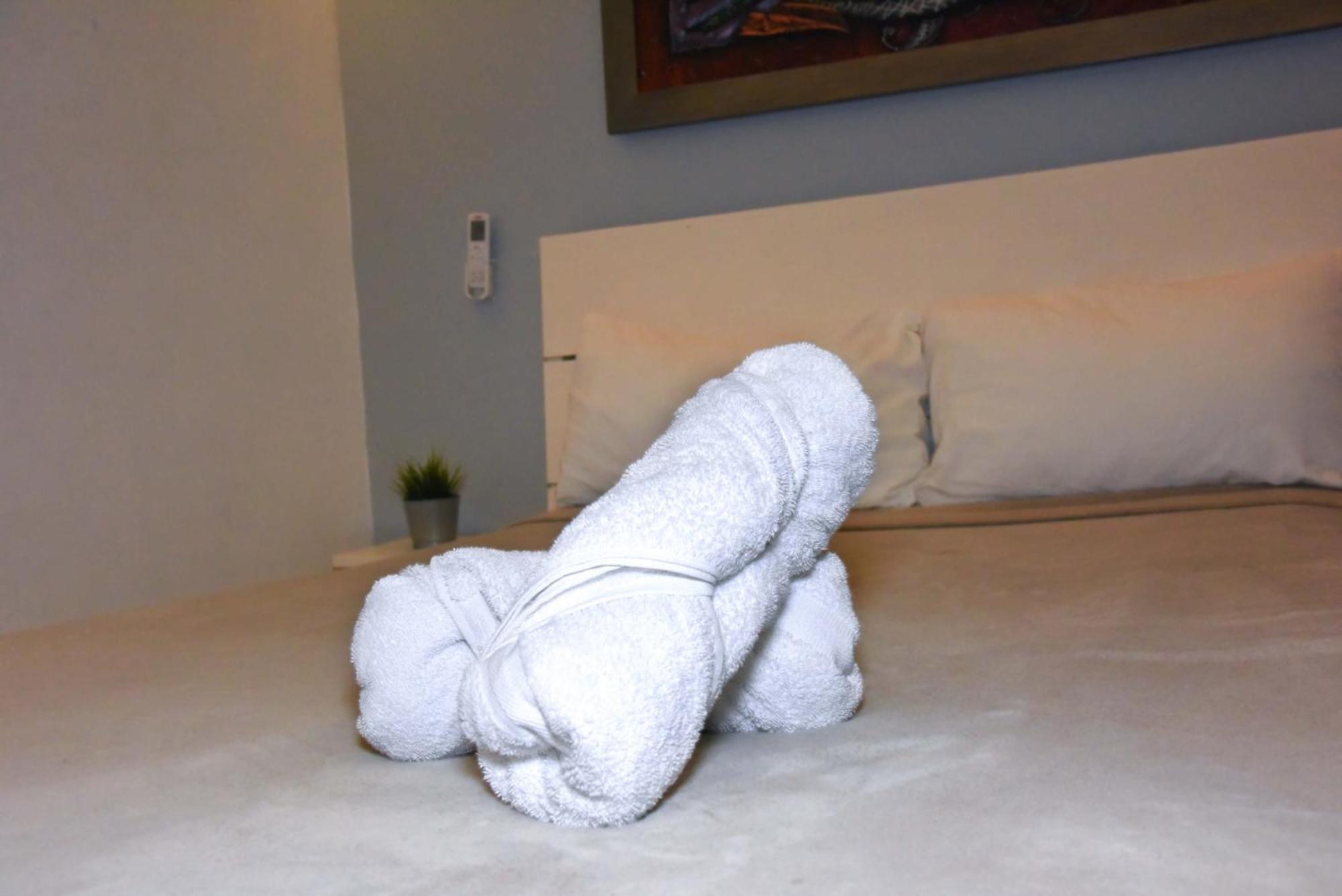 Hostel Gato Colonial ซานโตโดมิงโก ภายนอก รูปภาพ