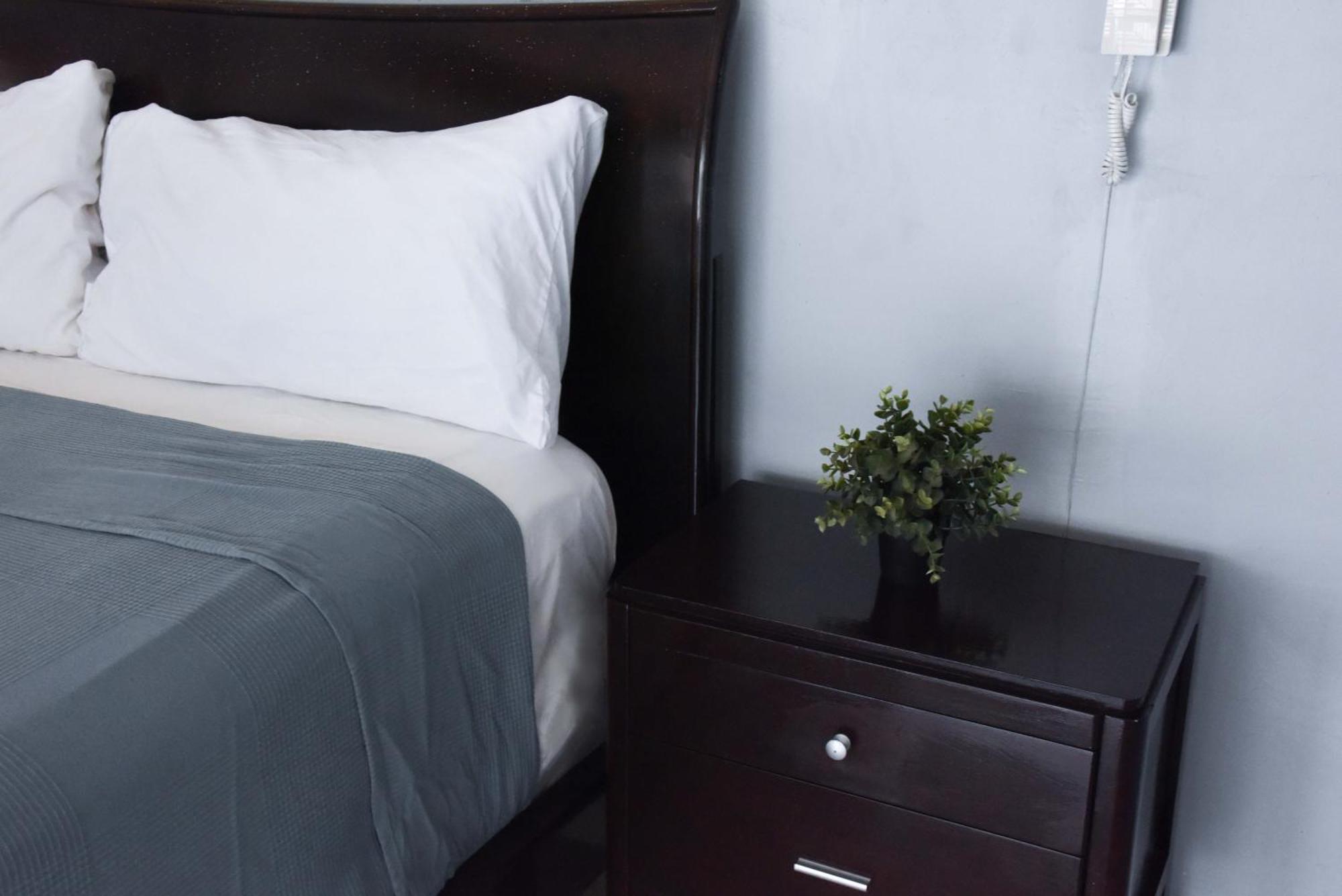 Hostel Gato Colonial ซานโตโดมิงโก ภายนอก รูปภาพ